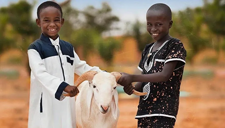 Afrika Kurbanlık Satışı